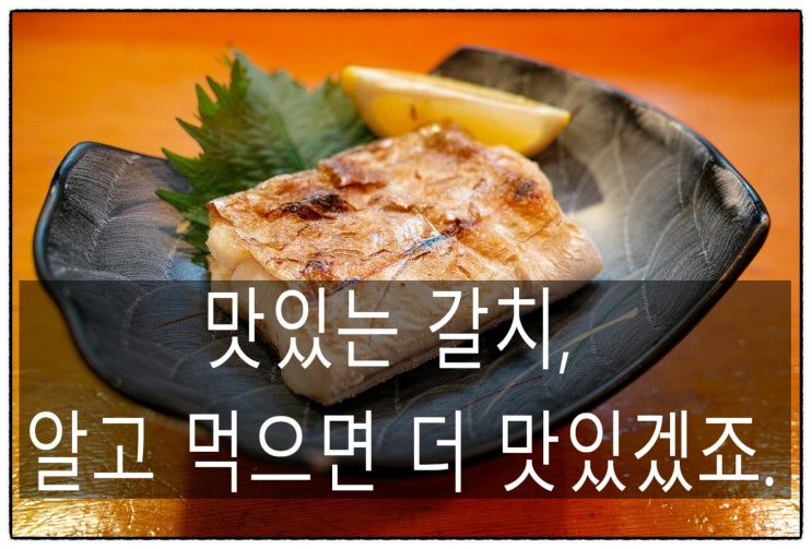  맛있는 갈치, 알고 먹으면 더 맛있겠죠.