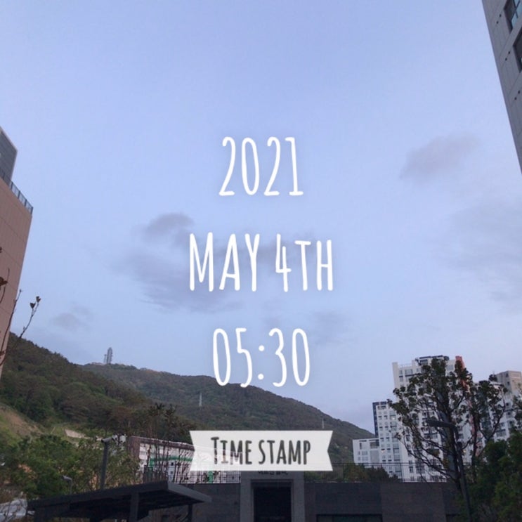  나만의 알찬 하루 만들기 프로젝트 (43일차)