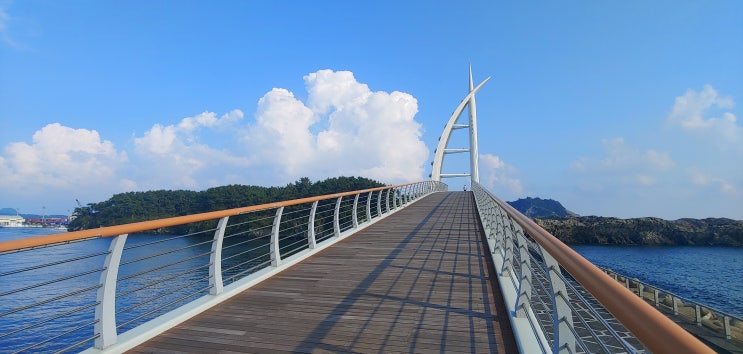  제주도 가볼만한곳 서귀포 새연교