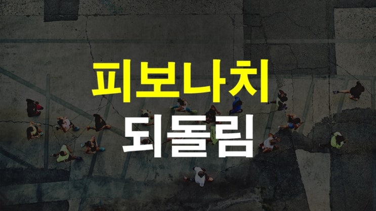  피보나치 되돌림