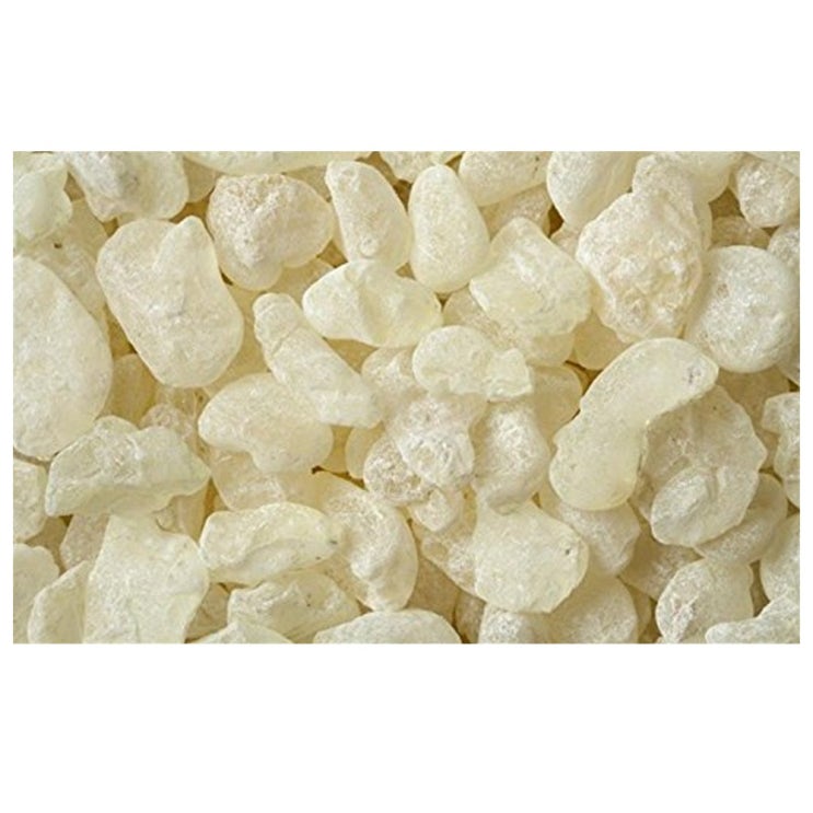 요즘 인기있는 Chios 그리스산 매스틱 검 알갱이 100g Mastic Gum Resin Masticha Pistacia Lentiscus, 1개, 개별용량 추천해요 요즘 인기있는 Chios 그리스산 매스틱 검 알갱이 100g Mastic Gum Resin Masticha Pistacia Lentiscus, 1개, 개별용량 추천해요