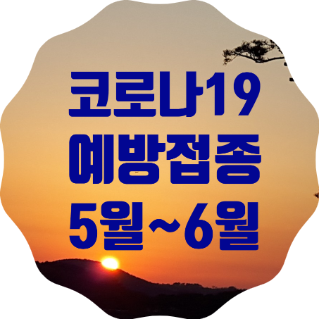  코로나19 예방접종 5~6월 추진계획