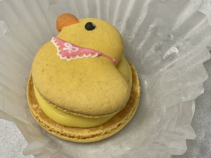  귀여운 아기오리 마카롱, 동물 모양이 너무 예뻐요 #캐릭터