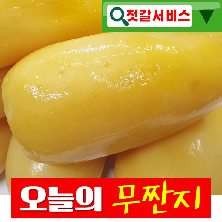 많이 찾는 건영푸드 무짠지 국내산 1kg 오독오독 칼칼한 밥도둑 짠지무침 누구나 좋아하는 이 맛 으로 사랑 받는 식품 무짠지 1kg내외, 1봉 추천해요