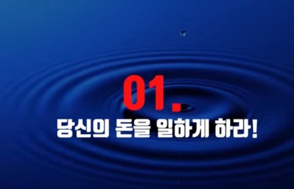  당신의 돈을 일하게 하라(부자들이 꼭 지키는 5가지 습관)