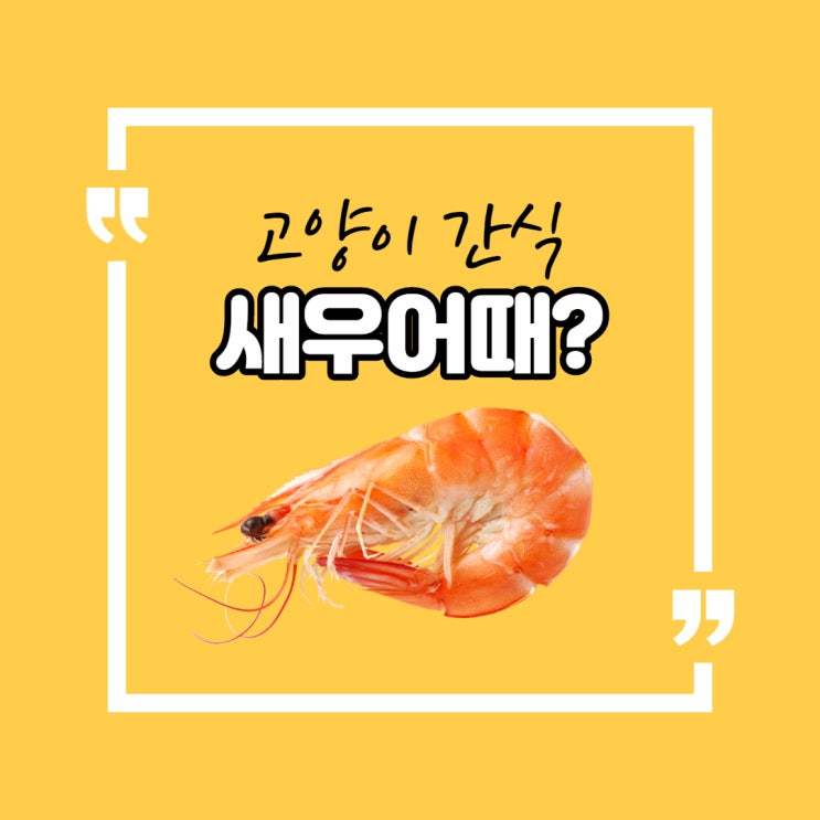  고양이 간식으로 새우 먹여도 되나요?