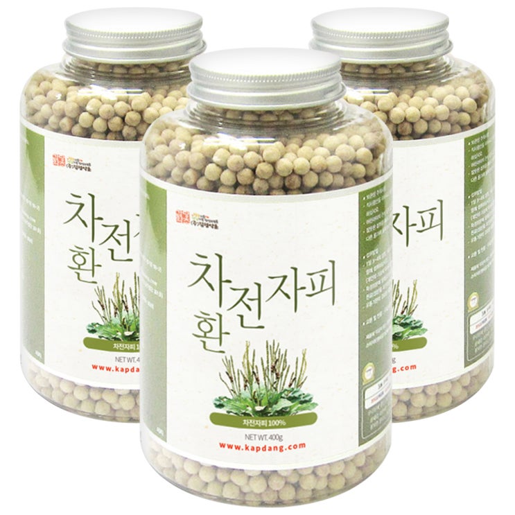 가성비갑 갑당약초 차전자피환, 400g, 3개 추천합니다