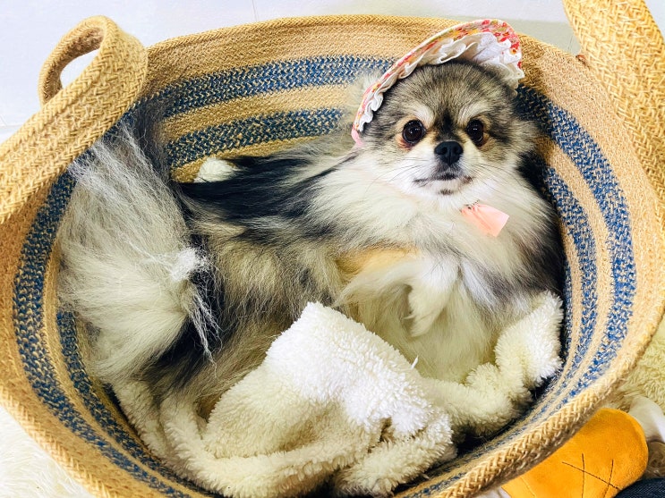  5월은 꾸꾸의달 꾸리들세상