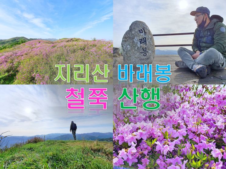  지리산 바래봉 철쭉 등산 코스 지리산허브밸리 코스