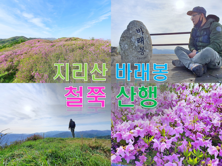 지리산 바래봉 철쭉 등산 코스 지리산허브밸리 코스