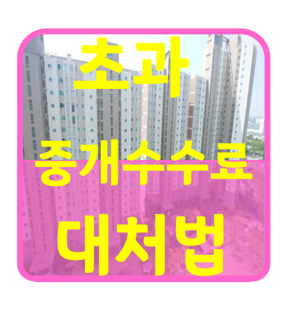  초과 중개 수수료 대처법 알아보기