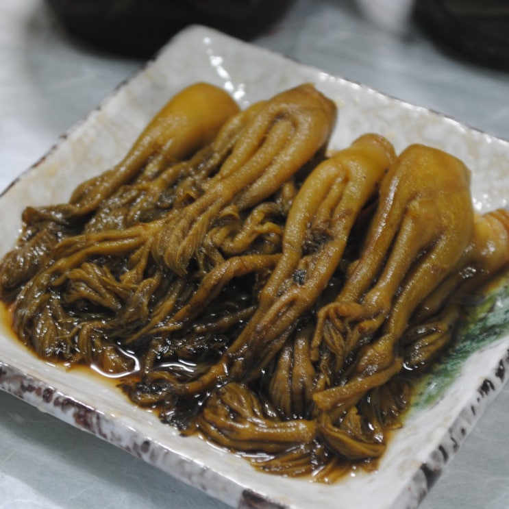 요즘 인기있는 초록사랑 산골짜기 강원도 홍천 두릅장아찌, 1개, 500g 좋아요