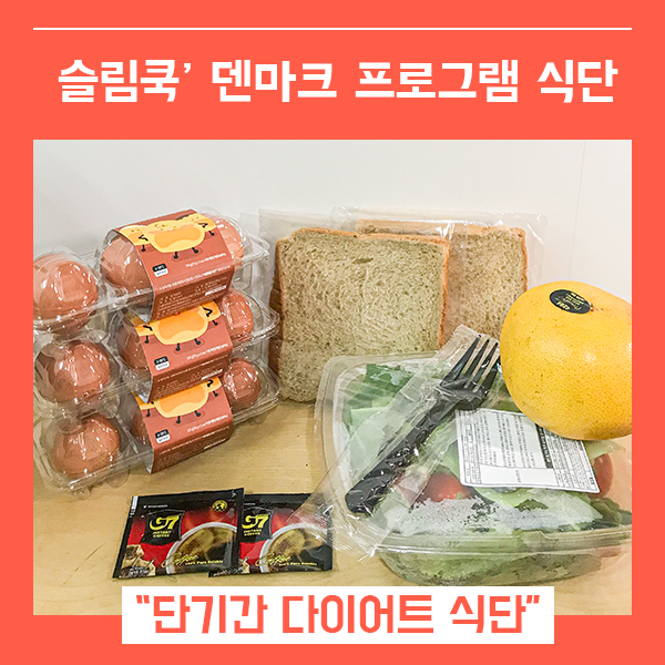  덴마크다이어트 식단 다이어트도시락 (feat. 단기다이어트 슬림쿡 )