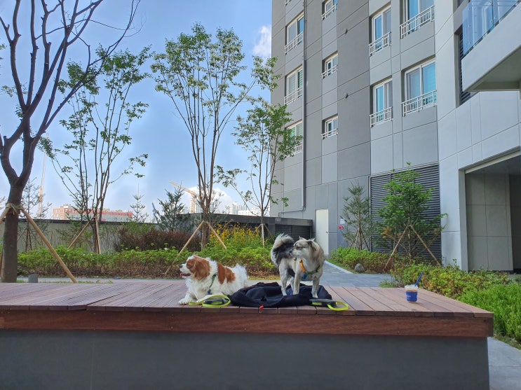  2021.5.5 개린이날 이사온 첫날 아침