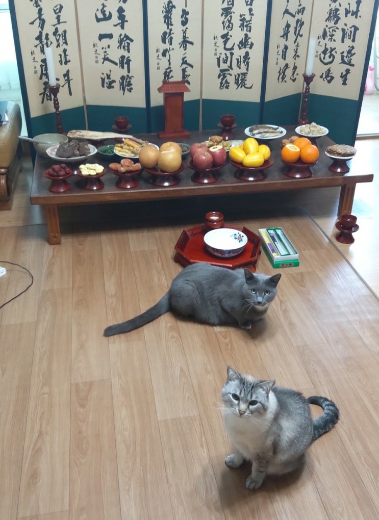  #오늘일기_ 2021.5.6(고관절 인공관절수술 잘하는 병원 아시는분 추천 부탁드려요!)