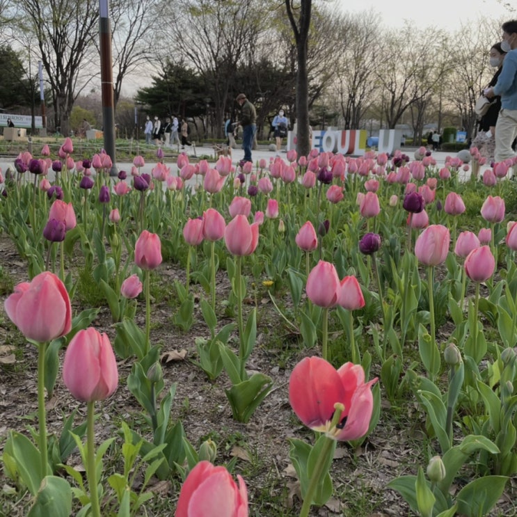  #May 05