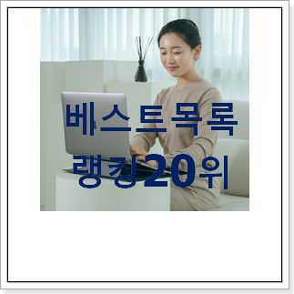 너무 사고싶은 노트북파우치 추천순위