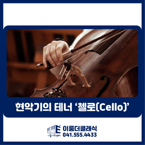 [천안]첼로 전문레슨 - 현악기의 테너 '첼로'