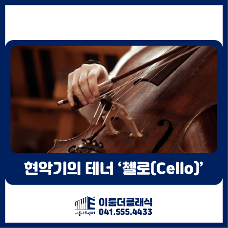  [천안]첼로 전문레슨 - 현악기의 테너 '첼로'