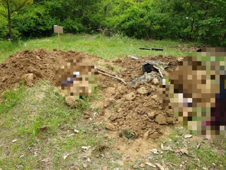  2021년 경북상주시 모동면 수봉리산 도로확장에따른 묘지이장후 화장 후안치 #상주장의사 #이장 #화장 #경북장의사 #이하늘장사 #김천장의사 #보상 #분묘보상