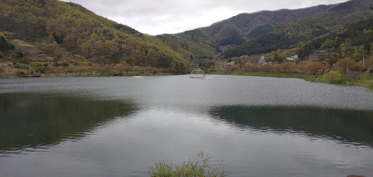  화순 가볼만한곳 화순 동구리 호수공원/ 화순 만연산 철쭉 수만리 생태숲공원