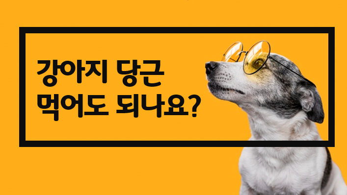  강아지 당근 먹어도 되나요?
