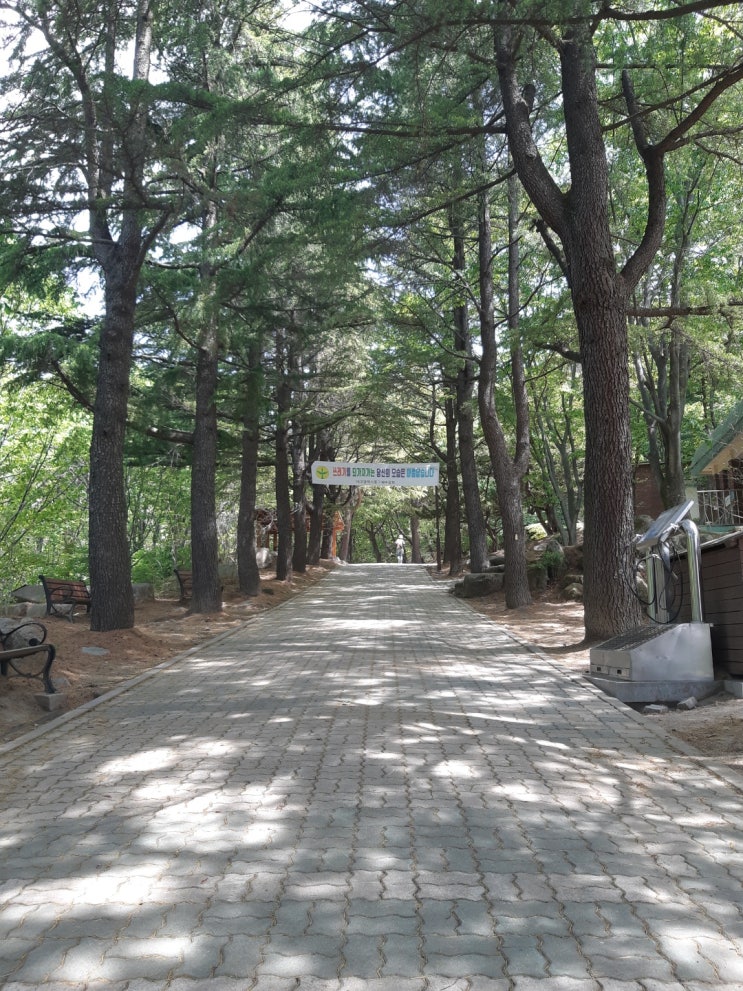  팔공산 동봉 등산