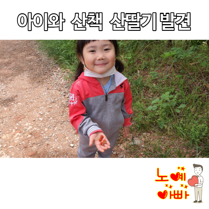  산책하다가 산딸기 발견 (21.05.06)