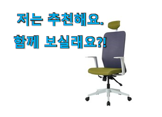  놀라운가격 듀오백 메쉬 의자 good 물건 이건 못지나치죠.