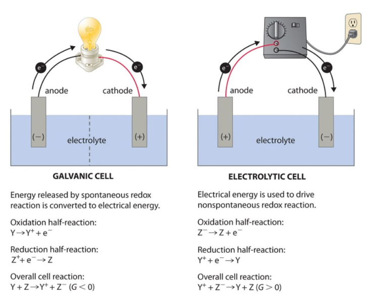 Galvanic Cell 갈바니 전지 / Electrolytic Cell 전해 셀