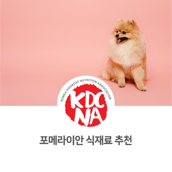  [펫푸드자격증/펫영양사/한국반려동물영양협회/반려밥상/강아지수제간식] 포메라이안에게 도움이 되는 식재료 추천_790