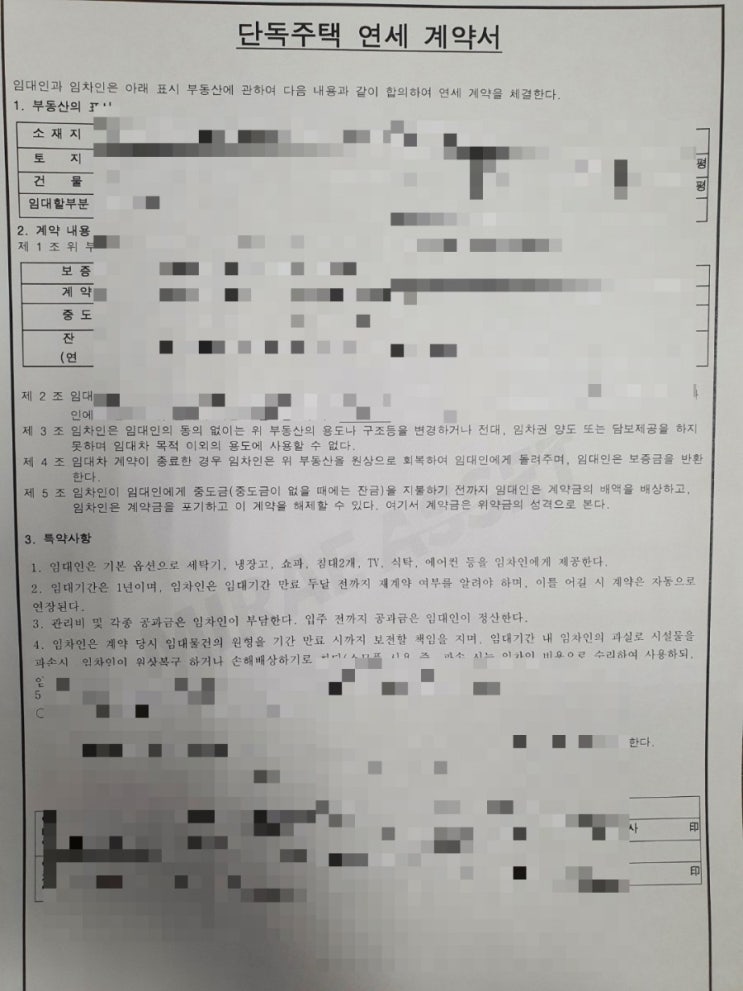  제주에서 1년동안 뭐 했니?