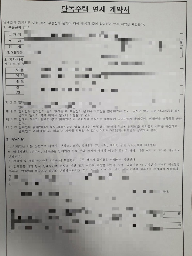 제주에서 1년동안 뭐 했니?