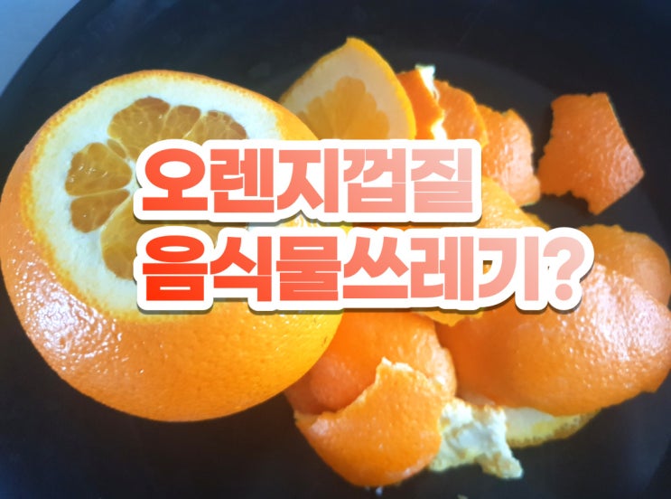  오렌지껍질 쓰레기 오렌지껍질 음식물로 속시원히 해결!