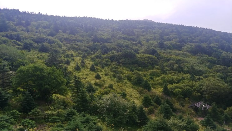 지리산 등산코스 및 버스시간표 모음 - 성백종주 성중종주 백중종주 화대종주 서북능선 바래봉 코스 등