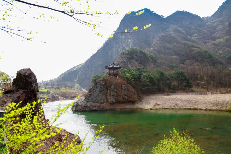   드라이브가고 싶다.