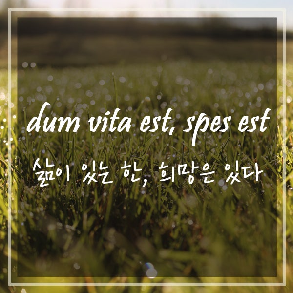 라틴어 명언 모음! 예쁜 라틴어 단어 무엇이 있을까? : 네이버 블로그 라틴어 명언 모음! 예쁜 라틴어 단어 무엇이 있을까? : 네이버 블로그