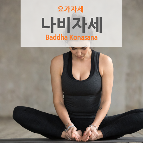  【요가자세 바로알기】 나비자세(밧다코나아사나)_황수민 메디요가 월 필라테스