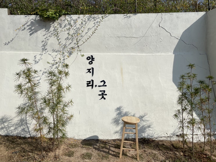  경치와 분위기가 좋은 카페 청주 오창 핫플 양지리 그곳