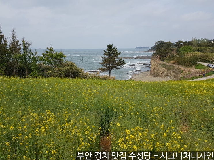 부안 가볼만한 곳 유채꽃과 바다 풍경이 아름다운 수성당 꼭 가야하는 부안 관광명소