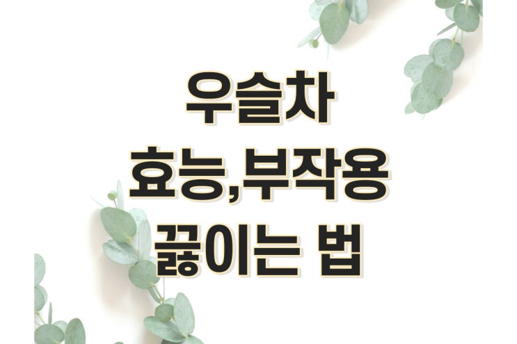  우슬차 효능, 부작용, 끓이는법 정리 (우슬, 우슬뿌리 차, 우술, 쇠무릎)