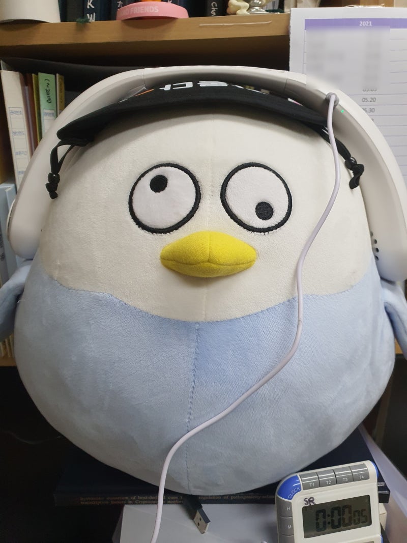 2021년 5월 6일 일기 - 달달한 이더리움 클래식 : 네이버 블로그