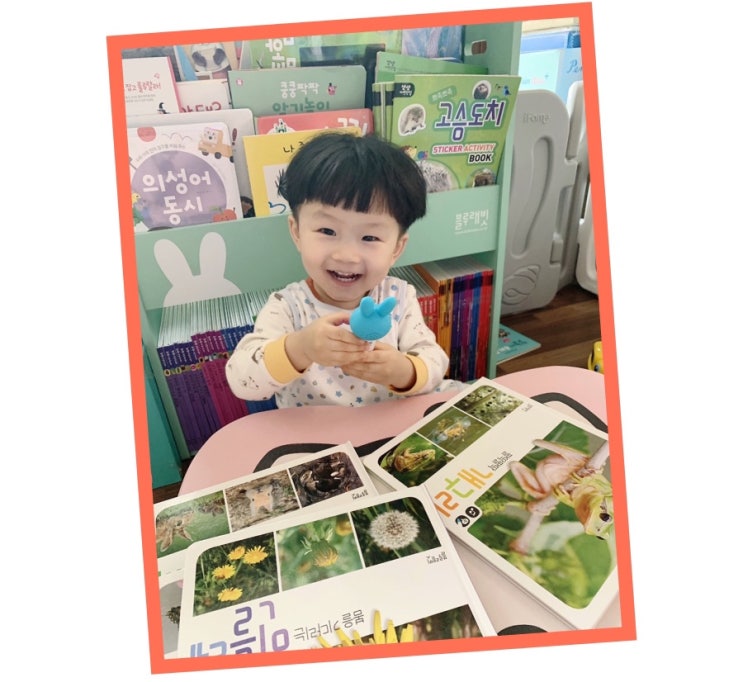  3세 자연관찰전집 비교하고 블루래빗으로 골랐어요