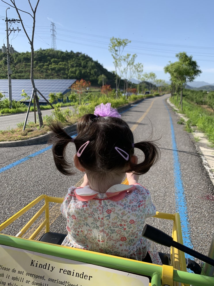 순천 놀러갈만한 곳 / 광양 끝들마을 / 섬진강 자전거 길