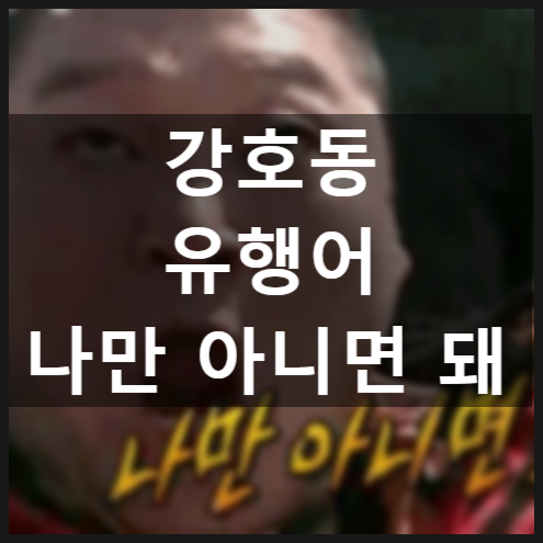  나만 아니면 돼, 강호동 유행어