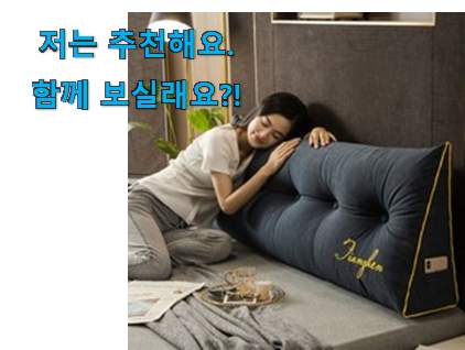  입소문탄 삼각 등쿠션 2인용 물건 신뢰가 가네요