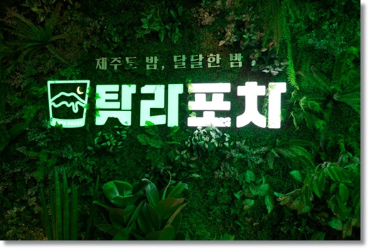  대전 가볼 만한 곳 데이트 코스로 유명한 탐라포차 대전 둔산점