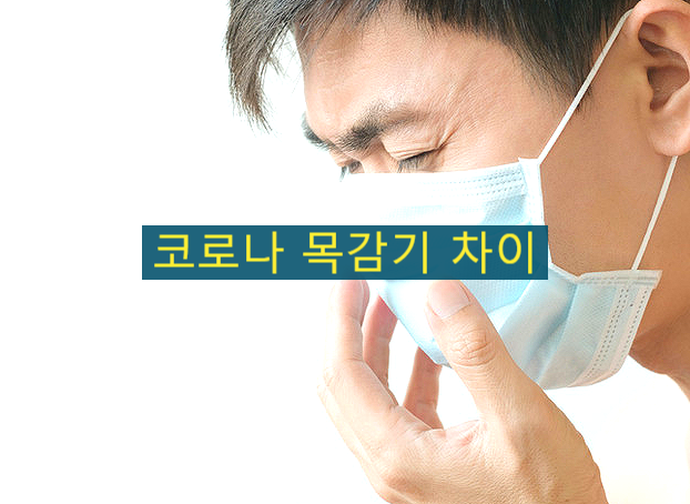  코로나 독감 목감기 증상 차이 구분과 감기 빨리 낫는법