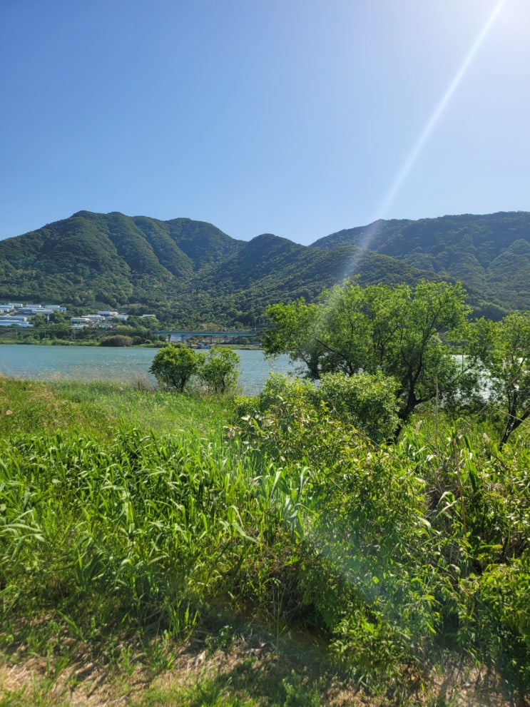  어린이날 양산 황산공원 다녀왔어요