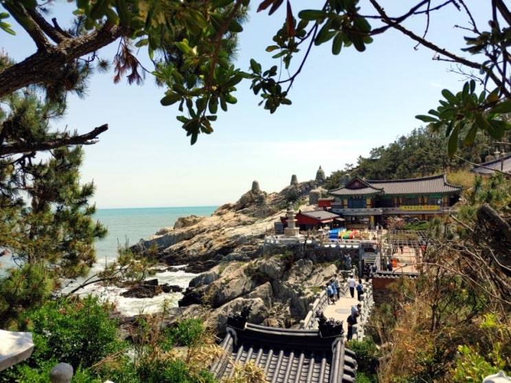  기장 밀면 맛집 / 부산면관 용궁사본점(부모님 입맛까지 사로잡은 맛)